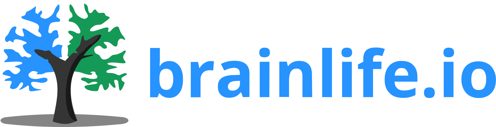brainlife.io